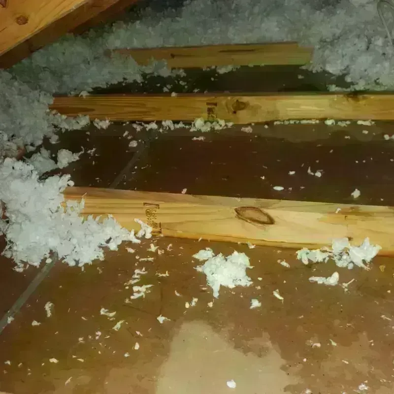 Attic Water Damage in North Lakeville, MA